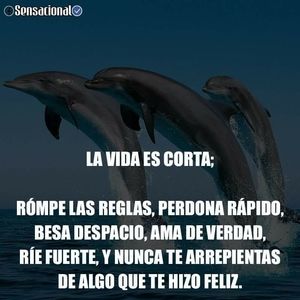 Meet your Posher, Aida